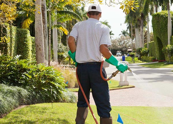 About Lorentz WV Pest Control